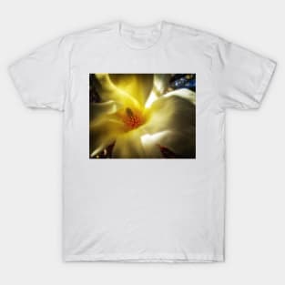 Inner Beauty T-Shirt